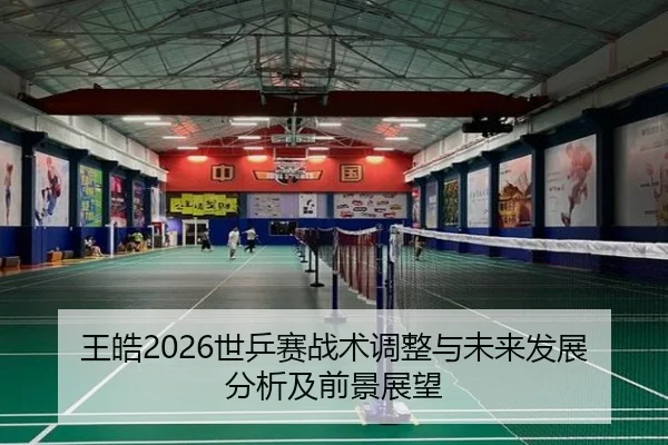 王皓2026世乒赛战术调整与未来发展分析及前景展望
